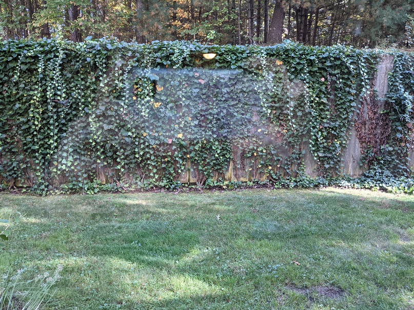 Greenleaves Realty Group